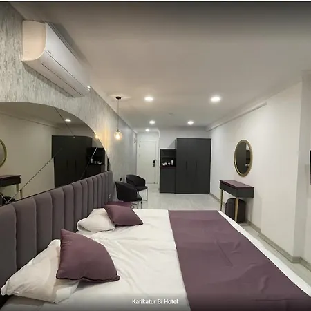 Karikatuer Bi فندق